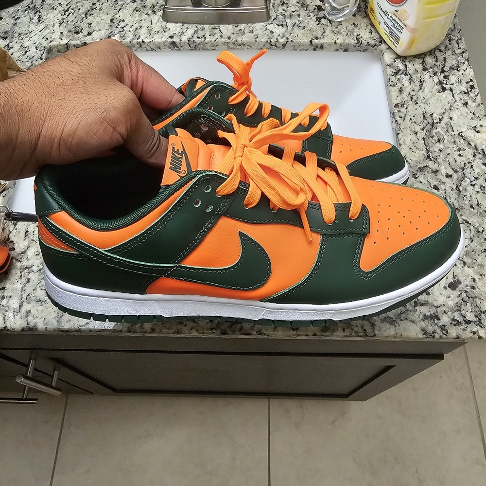 Nike Dunk low Hurricane